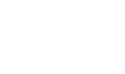 bring_me_data_logo 1